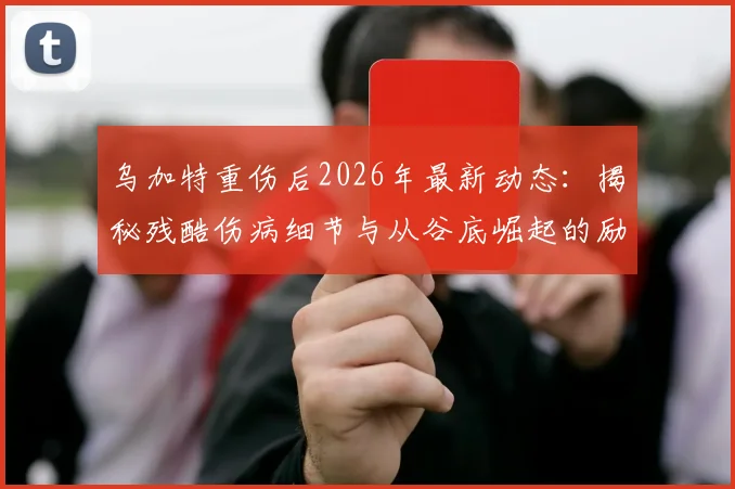 乌加特重伤后2026年最新动态：揭秘残酷伤病细节与从谷底崛起的励志复出之路
